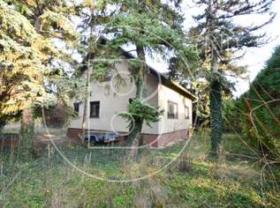 Baugrundstück mit Altbestandsgebäude in ruhiger Wohnlage!, 430000 €, Immobilien-Grund und Boden in 1220 Donaustadt