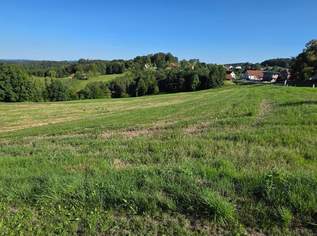 Sonniges Baugrundstück in Kohldorf 15 km östlich von Graz!, 69000 €, Immobilien-Grund und Boden in 8323 Kohldorf Sonniges Baugrundstück in Kohldorf 15 km östlich von Graz!, 69000 €, Immobilien-Grund und Boden in 8323 Kohldorf