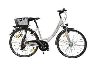 Damenfahrrad mit Korb, Pegasus, kaum benutzt, 200 €, Marktplatz-Sammlungen & Haushaltsauflösungen in Deutschland