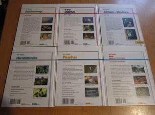 Diskus, Koi, Altum Skalare, Harnischwelse, etc. - Bede Verlag Diskus, Koi, Altum Skalare, Harnischwelse, etc. - Bede Verlag