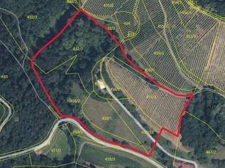 Scheibengrundstück mit Altbestand in Kranach, Gemeinde Gamlitz, 249000 €, Immobilien-Häuser in 8462 Gamlitz