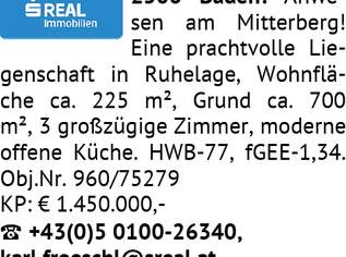 2500 Baden: Anwesen, 1450000 €, Immobilien-Häuser in 2500 Gemeinde Baden 2500 Baden: Anwesen, 1450000 €, Immobilien-Häuser in 2500 Gemeinde Baden