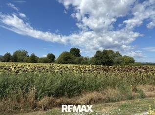 Baugrunstück in Toplage mit Option auf Erweiterung !, 25000 €, Immobilien-Grund und Boden in 7444 Klostermarienberg Baugrunstück in Toplage mit Option auf Erweiterung !, 25000 €, Immobilien-Grund und Boden in 7444 Klostermarienberg