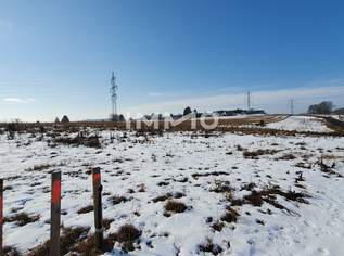 Baugrund mit 926 m² in bester Lage von Wieselburg-Stadt, 175940 €, Immobilien-Grund und Boden in 3250 Gemeinde Wieselburg