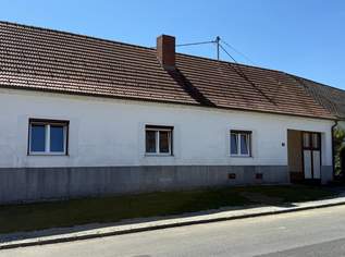 Bauernhof mit großem Nebengebäude und Garten, 229000 €, Immobilien-Häuser in 7540 Urbersdorf