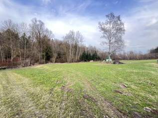 Landwirtschaftliche Nutzfläche - mögliches Baugrundstück, 0 €, Immobilien-Grund und Boden in 4782 St. Florian am Inn Landwirtschaftliche Nutzfläche - mögliches Baugrundstück, 0 €, Immobilien-Grund und Boden in 4782 St. Florian am Inn