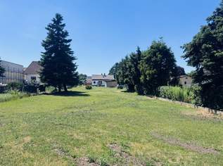 Großzügiges Baugrundstück mit Altbestand in Ruhelage, 430000 €, Immobilien-Grund und Boden in 2231 Strasshof an der Nordbahn Großzügiges Baugrundstück mit Altbestand in Ruhelage, 430000 €, Immobilien-Grund und Boden in 2231 Strasshof an der Nordbahn