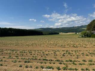 Attraktives Baugrundstück mit Entwicklungspotenzial – schöne Lage in St. Marein Nähe Wolfsberg, 275000 €, Immobilien-Grund und Boden in 9431 St. Marein Attraktives Baugrundstück mit Entwicklungspotenzial – schöne Lage in St. Marein Nähe Wolfsberg, 275000 €, Immobilien-Grund und Boden in 9431 St. Marein