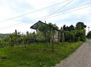 Ungarn Haus („Pinze“) mit Sicht über die Weinberge 1 Stunde vom Balaton Ungarn, 20000 €, Immobilien-Häuser in 7561 Heiligenkreuz im Lafnitztal Ungarn Haus („Pinze“) mit Sicht über die Weinberge 1 Stunde vom Balaton Ungarn, 20000 €, Immobilien-Häuser in 7561 Heiligenkreuz im Lafnitztal
