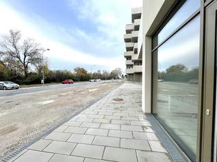 Leo am Teich - Wohnen am Badeteich Hirschstetten, 5481.61 €, Immobilien-Gewerbeobjekte in 1220 Donaustadt Leo am Teich - Wohnen am Badeteich Hirschstetten, 5481.61 €, Immobilien-Gewerbeobjekte in 1220 Donaustadt