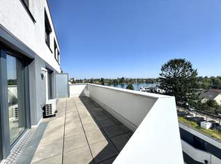 Penthouse mit Donaublick und 360 Grad Dachterrasse - direkt an der Alten Dona, 2250 €, Immobilien-Wohnungen in 1220 Donaustadt