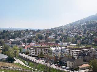 "0% KÄUFERPROVISION - Provisionsfrei| TWO STEP | 3-Zimmer mit großer westseitiger Terrasse", 485000 €, Immobilien-Wohnungen in 3400 Gemeinde Klosterneuburg