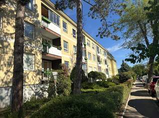 "3 Zimmerwohnung in Mödling", 250000 €, Immobilien-Wohnungen in 2340 Gemeinde Mödling "3 Zimmerwohnung in Mödling", 250000 €, Immobilien-Wohnungen in 2340 Gemeinde Mödling