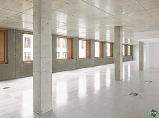 Fabrik1230 – Alte Substanz. Neue Perspektiven., 5849.76 €, Immobilien-Gewerbeobjekte in 1230 Liesing Fabrik1230 – Alte Substanz. Neue Perspektiven., 5849.76 €, Immobilien-Gewerbeobjekte in 1230 Liesing