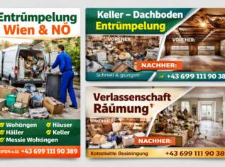 Entrümpelung Wien & NÖ – Wohnung, Keller, Haus Räumung, Dienstleister & Stellen-Dienstleister in 2344 Gemeinde Maria Enzersdorf Entrümpelung Wien & NÖ – Wohnung, Keller, Haus Räumung, Dienstleister & Stellen-Dienstleister in 2344 Gemeinde Maria Enzersdorf
