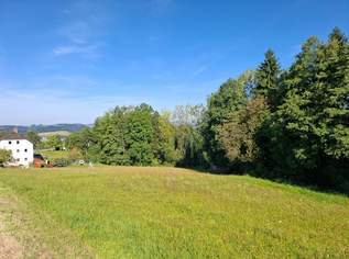 Großes Grundstück in Sankt Martin im Mühlkreis - kein Bauzwang, 159000 €, Immobilien-Grund und Boden in 4113 Sankt Martin im Mühlkreis Großes Grundstück in Sankt Martin im Mühlkreis - kein Bauzwang, 159000 €, Immobilien-Grund und Boden in 4113 Sankt Martin im Mühlkreis