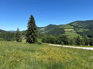 Grundstück in ruhiger Lage - Widmung Dorfgebiet, 195000 €, Immobilien-Grund und Boden in 4562 Steinbach am Ziehberg