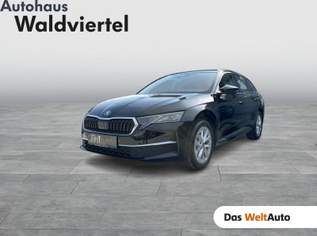 Octavia Selection TSI mHEV DSG, 37750 €, Auto & Fahrrad-Autos in 3580 Gemeinde Horn Octavia Selection TSI mHEV DSG, 37750 €, Auto & Fahrrad-Autos in 3580 Gemeinde Horn