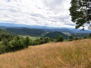 Himmlisches Grundstück nähe Urbansee und Schigebiet Simonhöhe, 80000 €, Immobilien-Grund und Boden in 9554 Sankt Urban