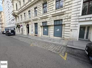 Provisionsfrei: 2 Stellplätze zwischen Schottentor und Votivkirche ab sofort verfügbar!, 240 €, Immobilien-Kleinobjekte & WGs in 1090 Alsergrund Provisionsfrei: 2 Stellplätze zwischen Schottentor und Votivkirche ab sofort verfügbar!, 240 €, Immobilien-Kleinobjekte & WGs in 1090 Alsergrund