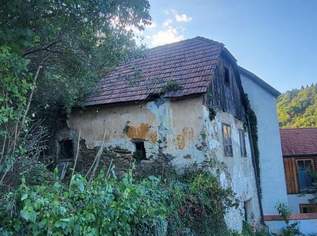 Märchenhaft großes Grundstück in Handlage mit grandiosen Ausblick auf die Burgruine Rehberg in 3500 Krems an der Donau, 135000 €, Immobilien-Grund und Boden in 3500 Am Steindl Märchenhaft großes Grundstück in Handlage mit grandiosen Ausblick auf die Burgruine Rehberg in 3500 Krems an der Donau, 135000 €, Immobilien-Grund und Boden in 3500 Am Steindl