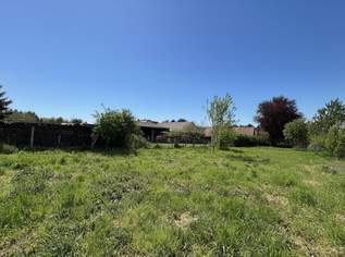 Sonniges Baugrundstück in naturnaher RUHELAGE | unmittelbare Nähe zu den Donau-Auen | Heurigen zu Fuß erreichbar, 167000 €, Immobilien-Grund und Boden in 2405 Bad Deutsch-Altenburg Sonniges Baugrundstück in naturnaher RUHELAGE | unmittelbare Nähe zu den Donau-Auen | Heurigen zu Fuß erreichbar, 167000 €, Immobilien-Grund und Boden in 2405 Bad Deutsch-Altenburg