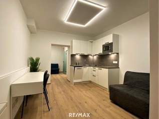 Kleinwohnung auch gewerblich nutzbar, 847 €, Immobilien-Wohnungen in 1030 Landstraße