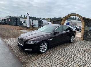 XF Prestige, 13990 €, Auto & Fahrrad-Autos in 4642 Sattledt