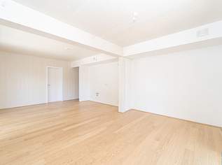 Mödling. Stadtvillen. Wertanlage., 631455 €, Immobilien-Wohnungen in 2340 Gemeinde Mödling Mödling. Stadtvillen. Wertanlage., 631455 €, Immobilien-Wohnungen in 2340 Gemeinde Mödling