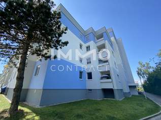 Kleine, feine Wohnung in der Neustadt, 175000 €, Immobilien-Wohnungen in 4600 Wels