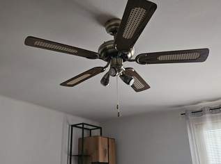 Neuwertiger Deckenventilator modern leise kaum hörbar wunderschön in dezenten gold und braun dringend zu verkaufen, 150 €, Haus, Bau, Garten-Haushaltsgeräte in 2640 Gemeinde Gloggnitz
