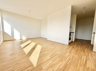 MODERNE ERSTBEZUGSWOHNUNG AKTION 1. MONAT MIETZINSFREI - Ein ZIMMER Wohnung ab Sofort verfügbar, 668.7 €, Immobilien-Wohnungen in 8010 