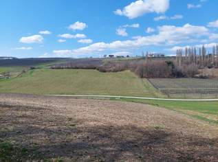 Ein Grundstück mit viel Potential!, 115000 €, Immobilien-Grund und Boden in 7543 Kukmirn