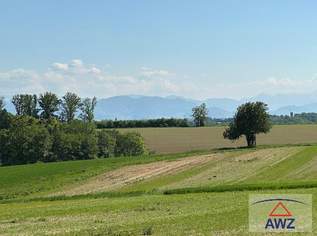 Idylle pur: Blockhaus mit Gartenparadies!, 224000 €, Immobilien-Häuser in 4492 Hofkirchen im Traunkreis Idylle pur: Blockhaus mit Gartenparadies!, 224000 €, Immobilien-Häuser in 4492 Hofkirchen im Traunkreis