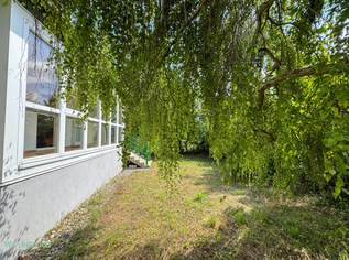 EIN HAUS WIE EIN SONNTAGNACHMITTAG, 375000 €, Immobilien-Häuser in 3435 Dürnrohr EIN HAUS WIE EIN SONNTAGNACHMITTAG, 375000 €, Immobilien-Häuser in 3435 Dürnrohr