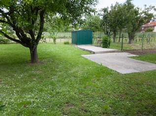 Garten für Genießer und Selbstversorger mitten in Eisenstadt Garten für Genießer und Selbstversorger mitten in Eisenstadt
