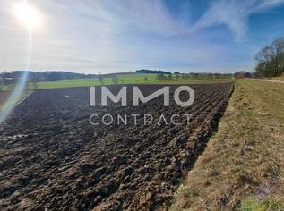 Schöne landwirtschaftliche Flächen in Neukirchen bei Lambach im Ausmaß von ca. 16.400 m², 254000 €, Immobilien-Grund und Boden in 4671 Neukirchen bei Lambach Schöne landwirtschaftliche Flächen in Neukirchen bei Lambach im Ausmaß von ca. 16.400 m², 254000 €, Immobilien-Grund und Boden in 4671 Neukirchen bei Lambach