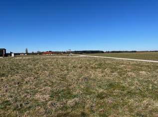 Baugrund in Sipbachzell, 199000 €, Immobilien-Grund und Boden in 4621 Sipbachzell Baugrund in Sipbachzell, 199000 €, Immobilien-Grund und Boden in 4621 Sipbachzell