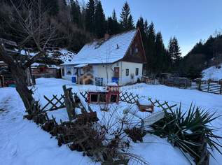 Rückzugsort in Alleinlage – Wohnen mit Ruhe, Natur und Freiraum, 199000 €, Immobilien-Häuser in 8712 Proleb