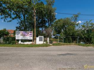 AKTIONSHAUS € 599.900! 94m² GARTEN. GERÄUMIGE 138m² WNFl. PROVISIONSFREI für den Käufer., 599900 €, Immobilien-Häuser in 1220 Donaustadt