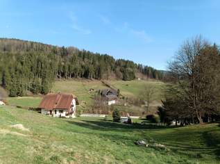 Leistbares Baugrundstück in herrlicher, ruhiger-sonniger Lage!, 49000 €, Immobilien-Grund und Boden in 8153 Södingberg Leistbares Baugrundstück in herrlicher, ruhiger-sonniger Lage!, 49000 €, Immobilien-Grund und Boden in 8153 Södingberg