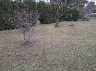 1226m² Baugrund Nahe U1 Leopoldau, 1499000 €, Immobilien-Grund und Boden in 1210 Floridsdorf