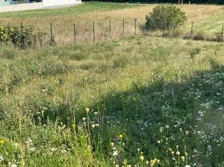 Grundstück in sehr guter Lage, 225600 €, Immobilien-Grund und Boden in 7100 Gemeinde Neusiedl am See Grundstück in sehr guter Lage, 225600 €, Immobilien-Grund und Boden in 7100 Gemeinde Neusiedl am See