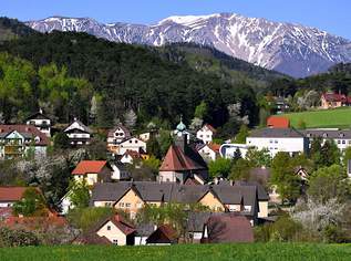 KLEINES HAUS BEIM SCHNEEBERG, 148000 €, Immobilien-Häuser in 2733 Katastralgemeinde Grünbach am Schneeberg KLEINES HAUS BEIM SCHNEEBERG, 148000 €, Immobilien-Häuser in 2733 Katastralgemeinde Grünbach am Schneeberg
