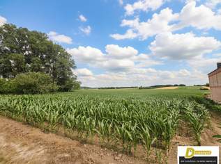 Baugrundstück in 2111 Tresdorf – 1.001 m² in toller Ruhelage, 470470 €, Immobilien-Grund und Boden in 2111 Tresdorf