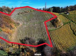 Weingarten mit Landwirtschaft in Kranach, Gemeinde Gamlitz zum Schnäppchenpreis( ZONE III ), 99000 €, Immobilien-Gewerbeobjekte in 8462 Gamlitz