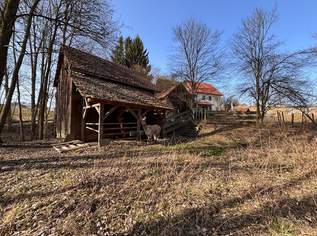 Entzückendes Sacherl - Sternchenwidmung im Grünland, 325000 €, Immobilien-Häuser in 4341 Arbing Entzückendes Sacherl - Sternchenwidmung im Grünland, 325000 €, Immobilien-Häuser in 4341 Arbing