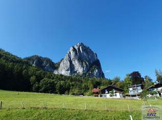 Bergbauernhof in Alleinlage!, 0 €, Immobilien-Gewerbeobjekte in 5600 Sankt Johann im Pongau