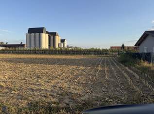 Grundstücksteilfläche für ein Eigenheim in Judenau – ca. 800, 900 oder 1.000 m², 280000 €, Immobilien-Grund und Boden in 3441 Judenau Grundstücksteilfläche für ein Eigenheim in Judenau – ca. 800, 900 oder 1.000 m², 280000 €, Immobilien-Grund und Boden in 3441 Judenau