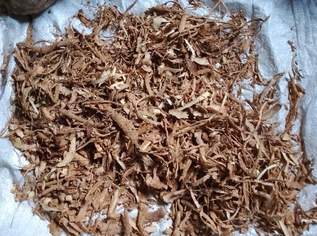 IBOGA - Tabernanthe Iboga Wurzelrinde 5 - 6,4% TA, 3 €, Marktplatz-Beauty, Gesundheit & Wellness in Tschechien